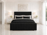Luxury Panel line bed & Mattres